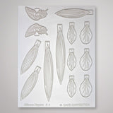 #4 - Multipurpose Flower, Leaves & Butterfly Mold