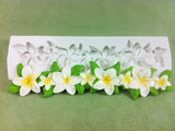 Border Plumeria Flower