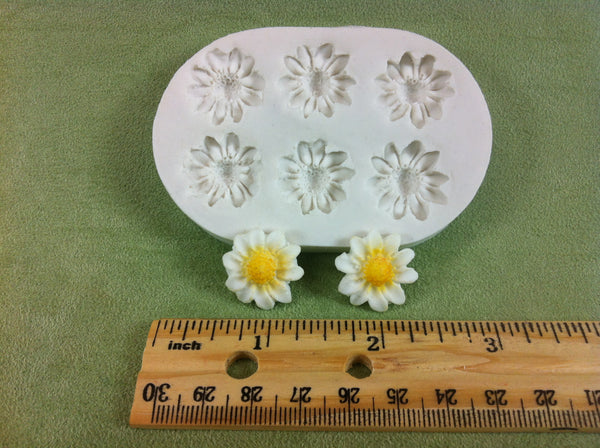 Six Small Daisy