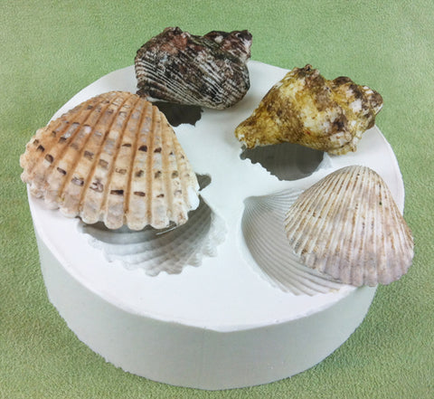 Med size Sea Shells - 4