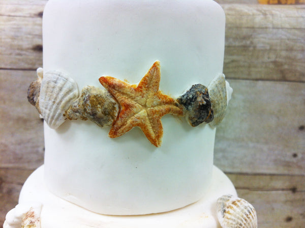 Starfish with Seashell Border